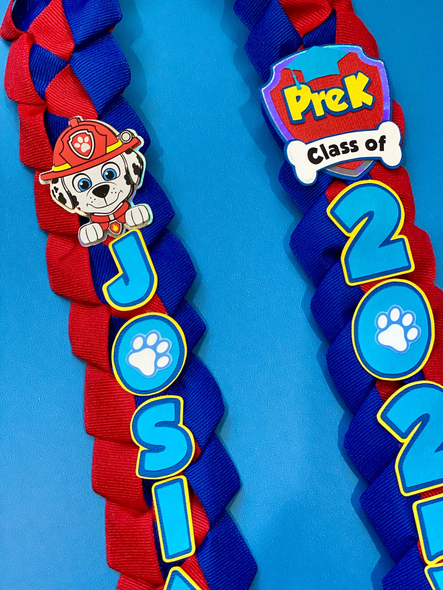 Bundle Paw Patrol Graduation Cap Topper and Lei | Kindergarten Graduation | Graduation Gift | Personalized Grad Cap and Lei | Class of 2026